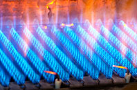 Finzean gas fired boilers